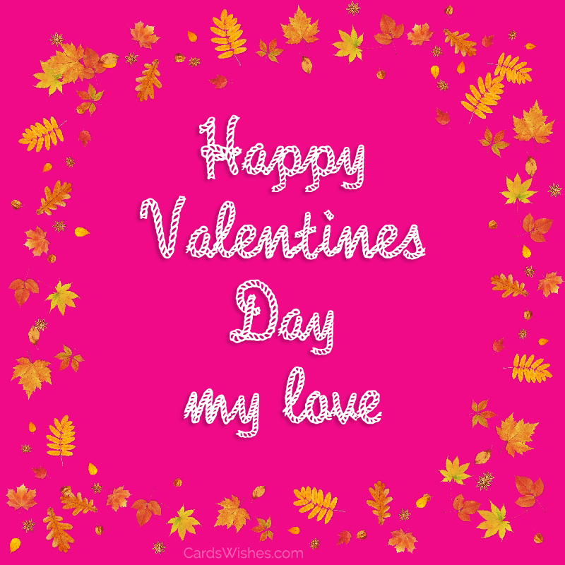 Happy Valentines Day, my love!