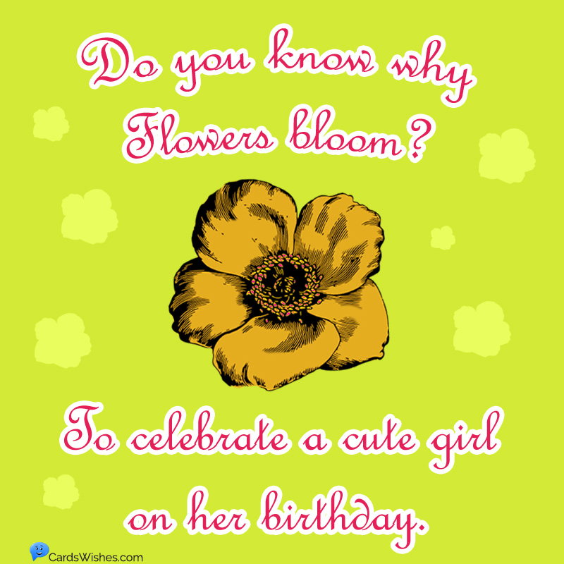 Do you know why flowers bloom? To celebrate a cute girl on her birthday.
