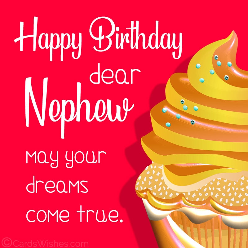 Happy Birthday, Dear Nephew! May your dreams come true.