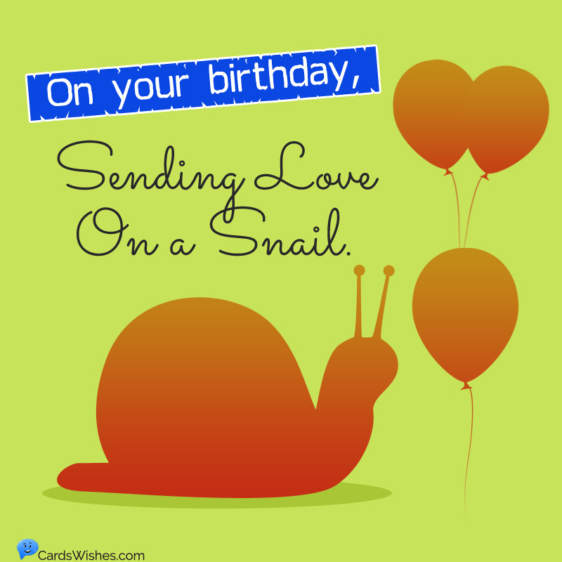 On your birthday, sending love on a snail.