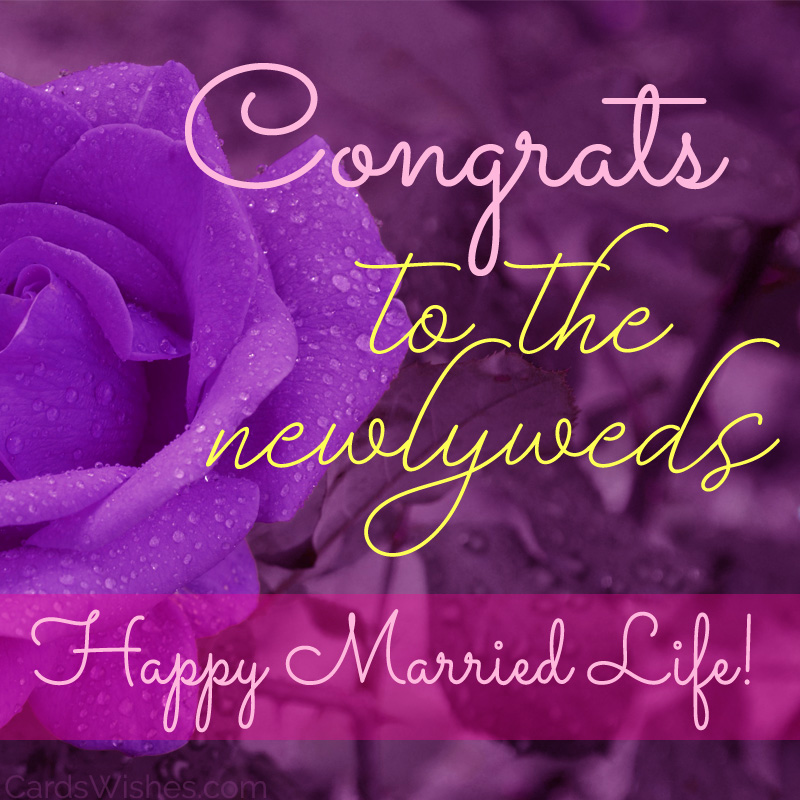 Best wishes for a happy life. Congratulations!