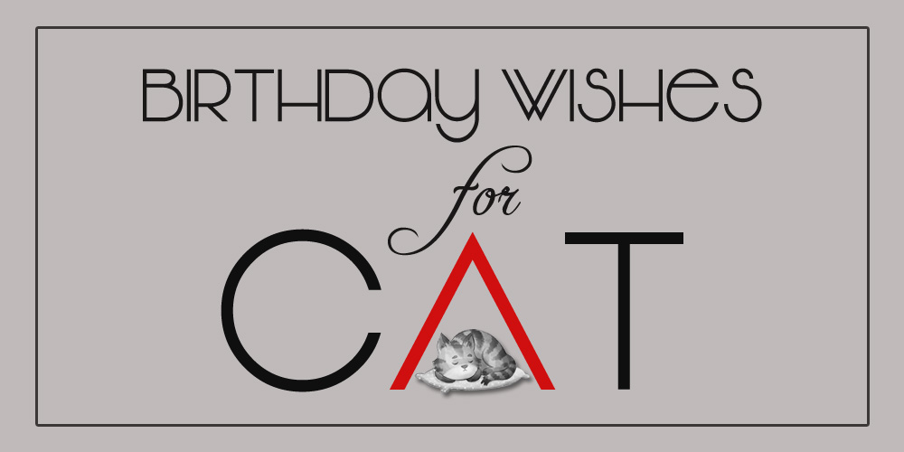 Happy Birthday wishes for cat
