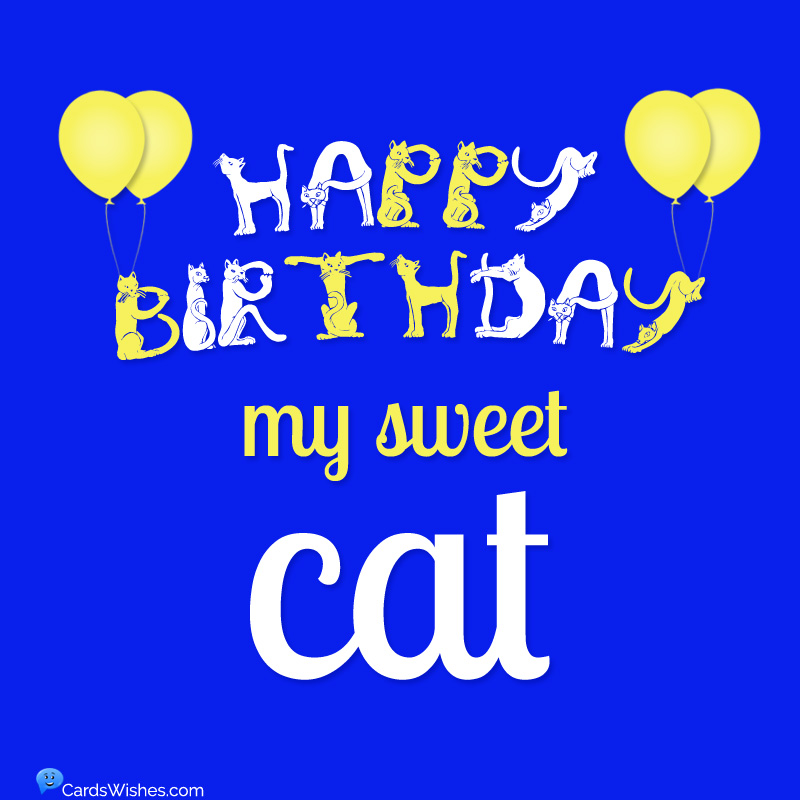Happy Birthday, my sweet cat!
