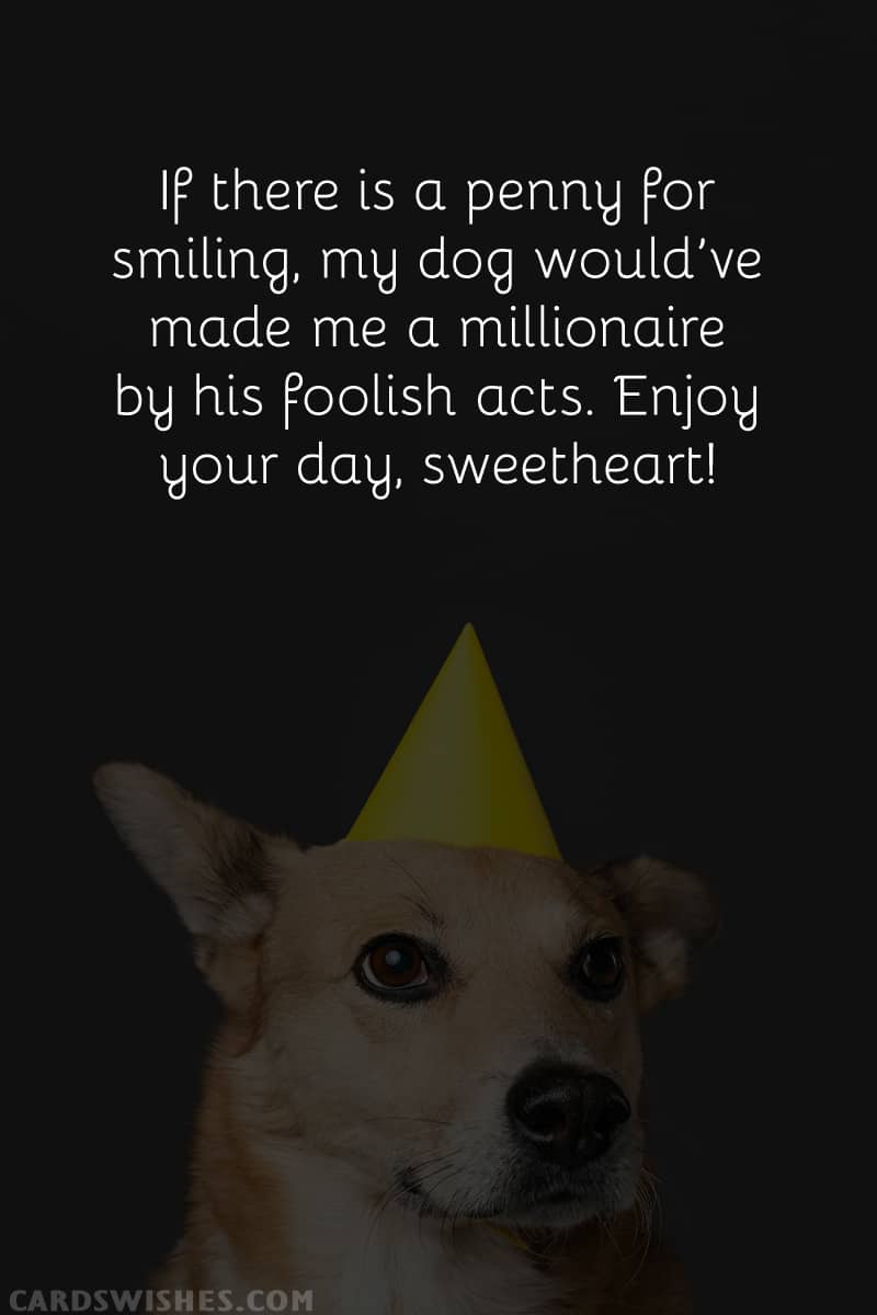 If there is a penny for smiling, my dog would’ve made me a millionaire by his foolish acts. Enjoy your day, sweetheart!