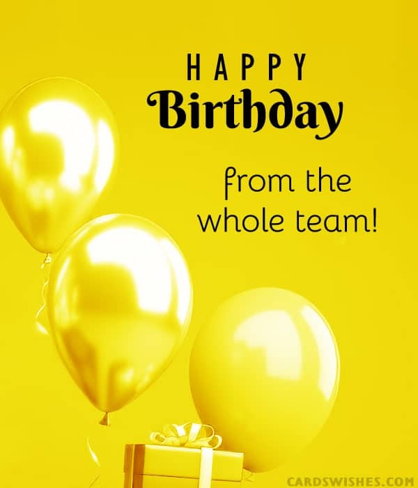 Happy Birthday from the whole team!
