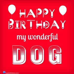 Happy Birthday, Dog! Top 50 Wishes for Dogs