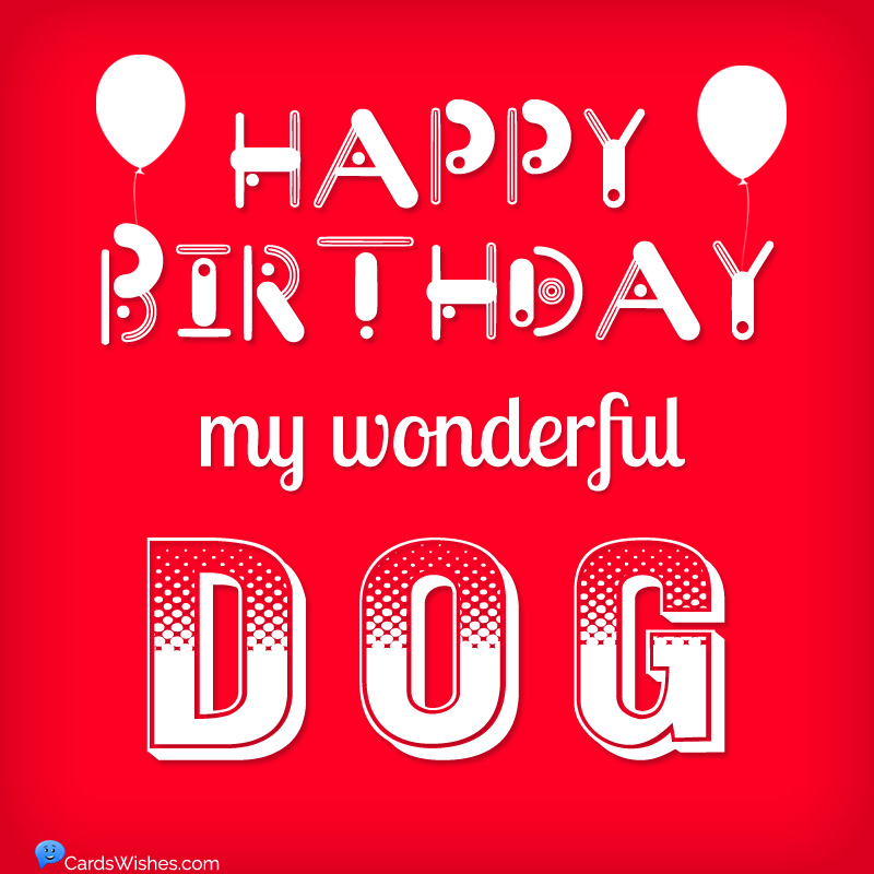 Happy Birthday, my wonderful dog!