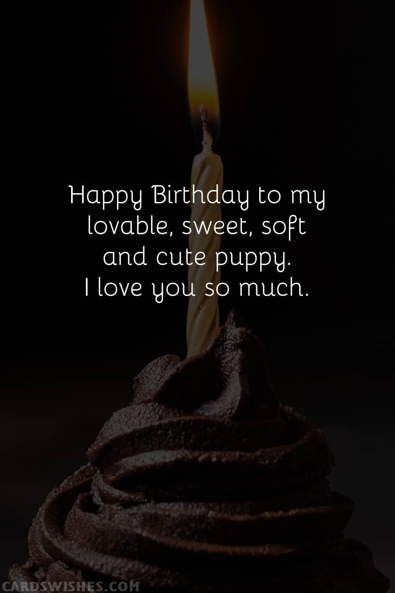 Happy Birthday to my lovable, sweet, soft and cute puppy. I love you so much