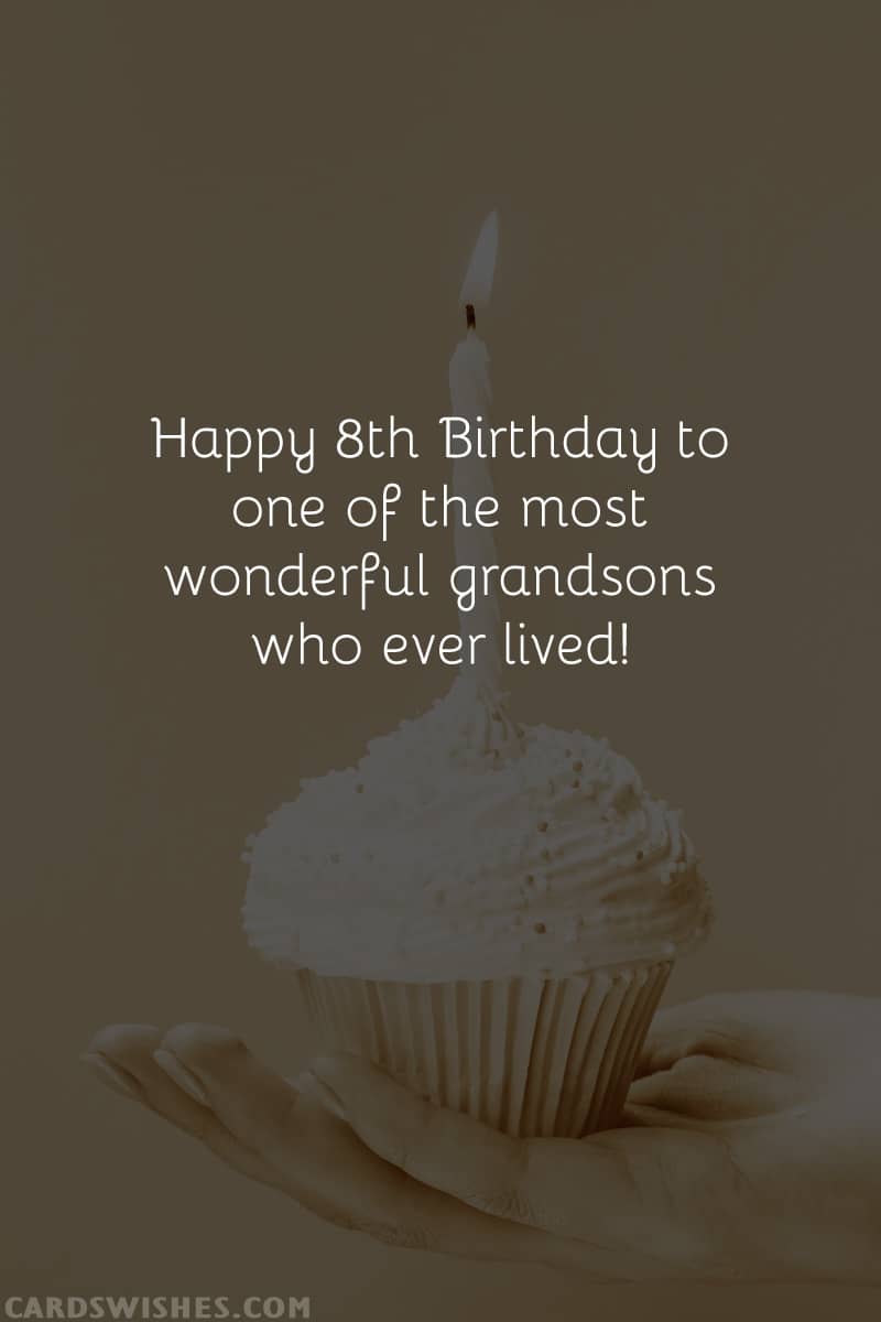 Happy 8th Birthday to one of the most wonderful grandsons who ever lived!