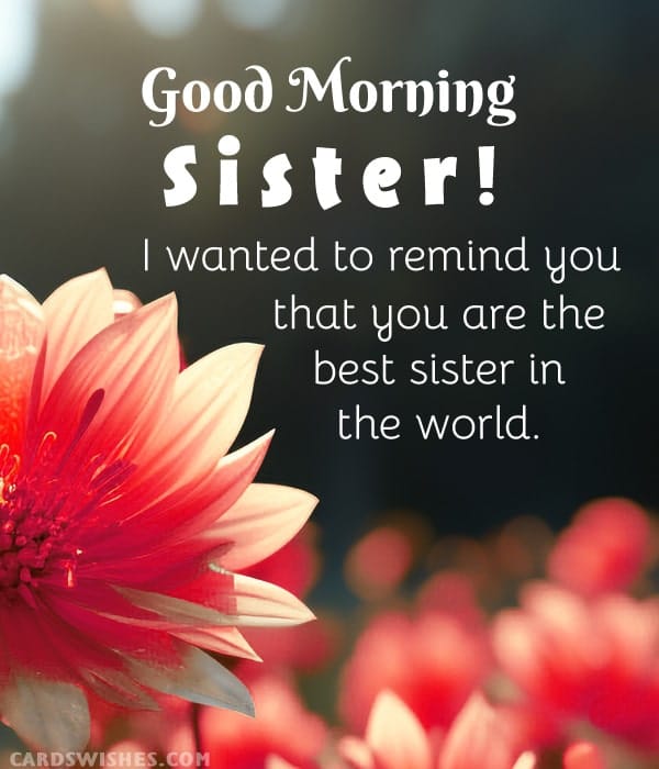 Good Morning, Sister! I wanted to remind you that you are the best sister in the world.