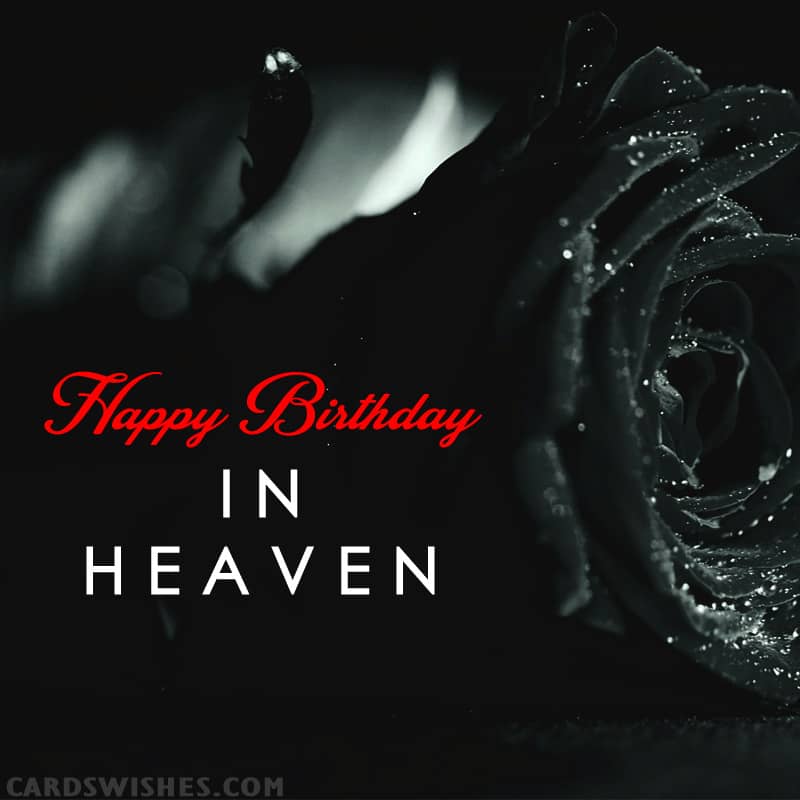 Happy Birthday in Heaven!