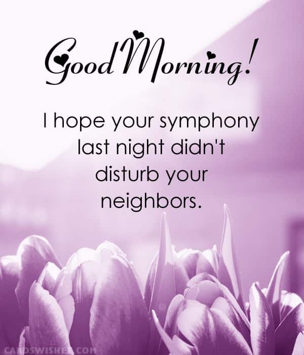 Good Morning! I hope your symphony last night didn't disturb your neighbors