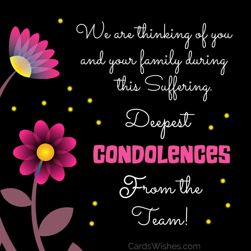 We are thinking of you and your family during this suffering. Deepest condolences from the team.