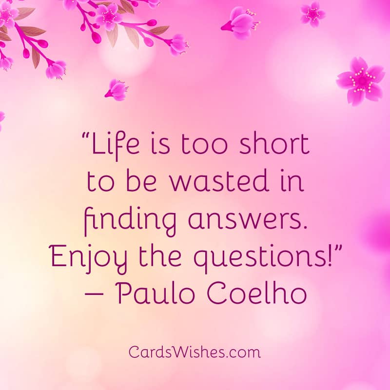 Life is too short to be wasted in finding answers. Enjoy the questions!