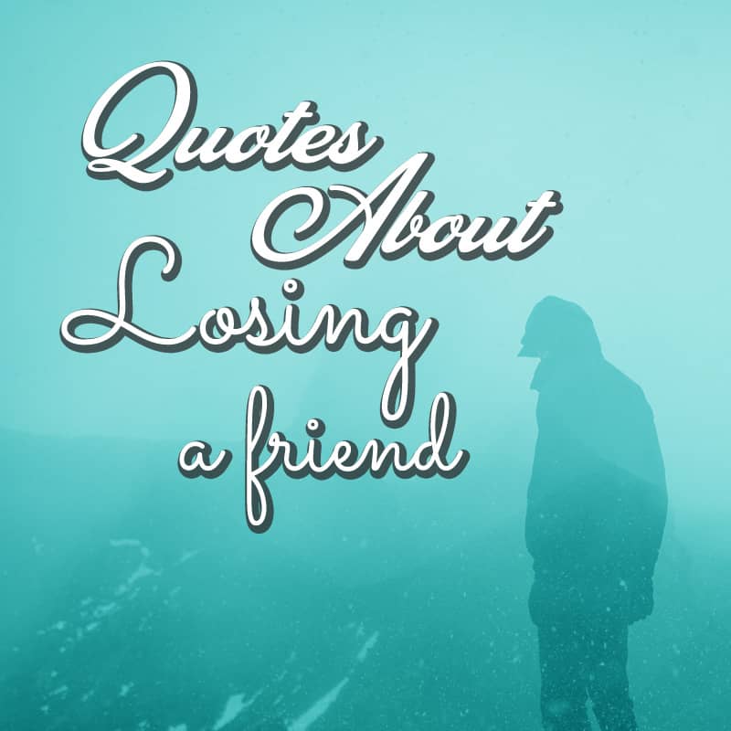Quotes About Losing A Friend