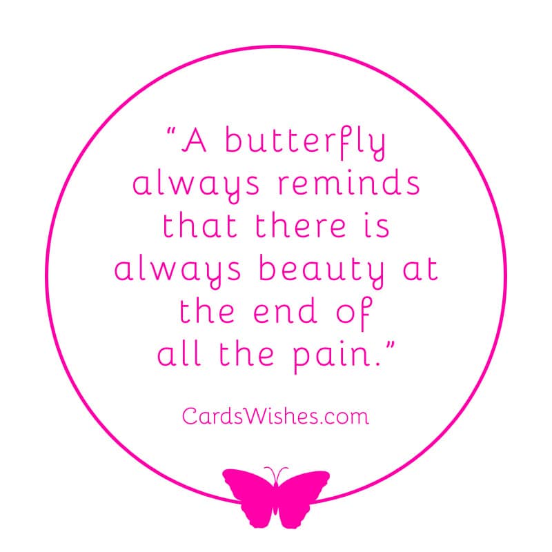 A butterfly always reminds that there is always beauty at the end of all the pain