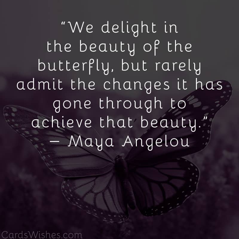 We delight in the beauty of the butterfly, but rarely admit the changes it has gone through to achieve that beauty