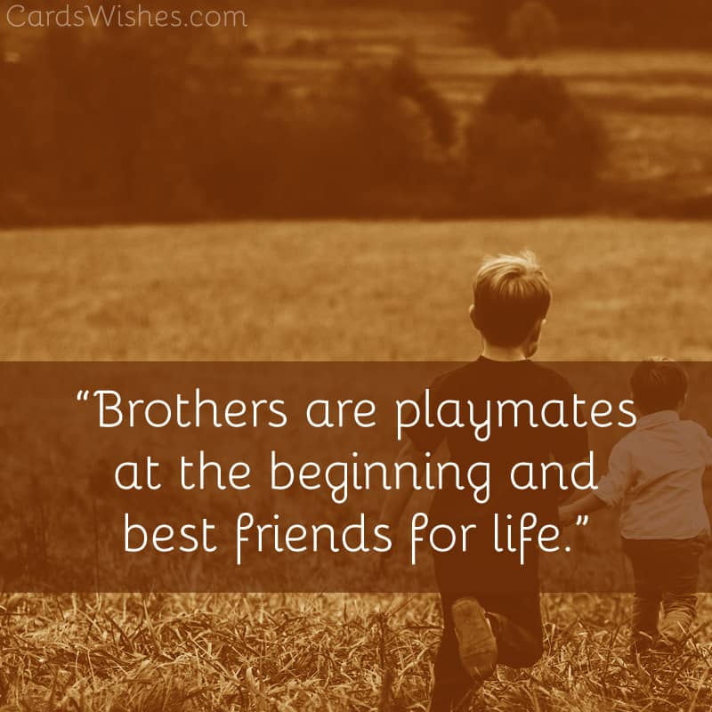 Brothers are playmates at the beginning and best friends for life.