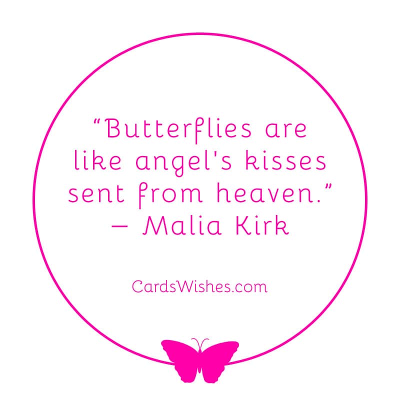 Butterflies are like angel's kisses sent from heaven