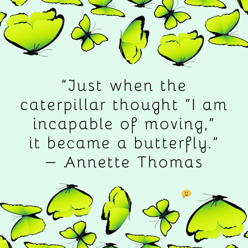 Just when the caterpillar thought “I am incapable of moving, it became a butterfly