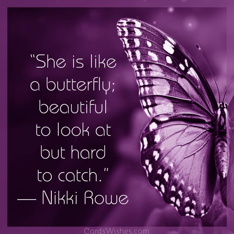 She is like a butterfly; beautiful to look at but hard to catch