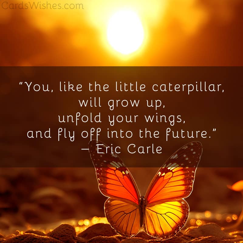 You, like the little caterpillar, will grow up, unfold your wings, and fly off into the future