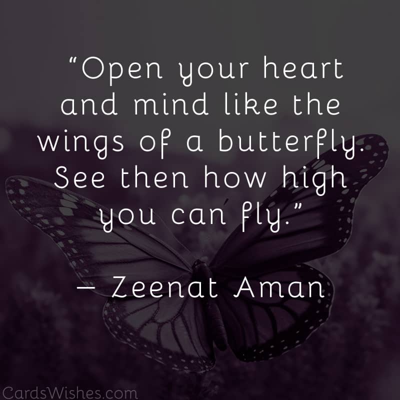 Open your heart and mind like the wings of a butterfly. See then how high you can fly