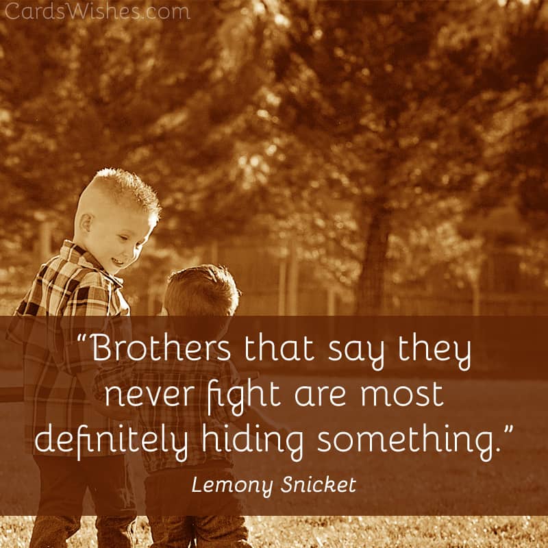 Funny Brother Quotes