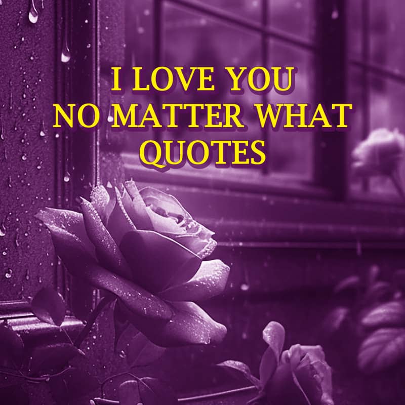 I love you no matter what quotes