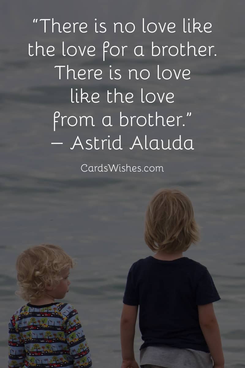There is no love like the love for a brother. There is no love like the love from a brother.