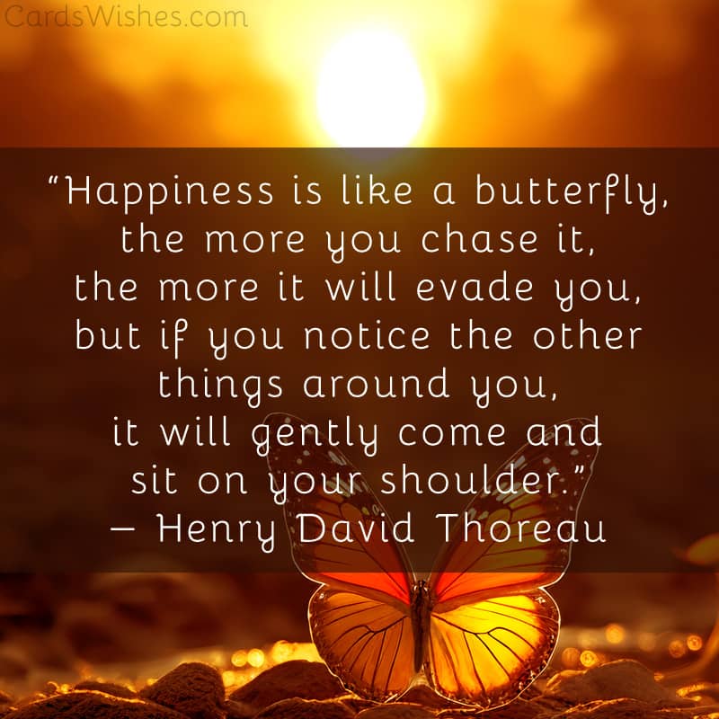 Happiness is like a butterfly, the more you chase it, the more it will evade you