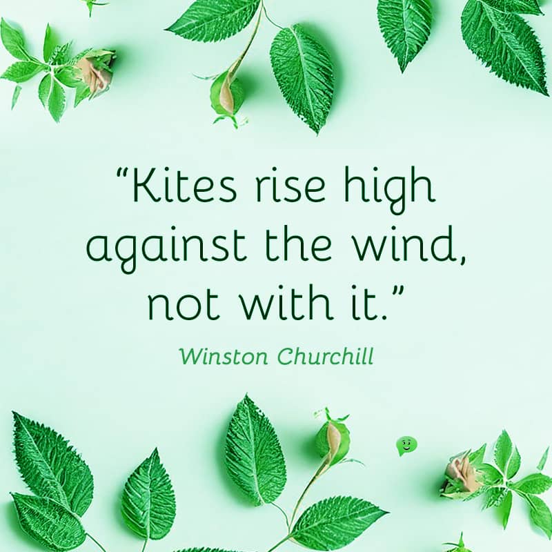 Kites rise high against the wind, not with it.