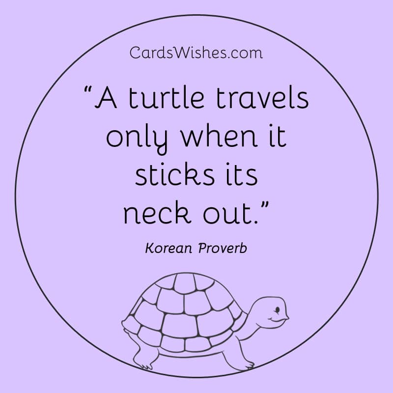 A turtle travels only when it sticks its neck out.