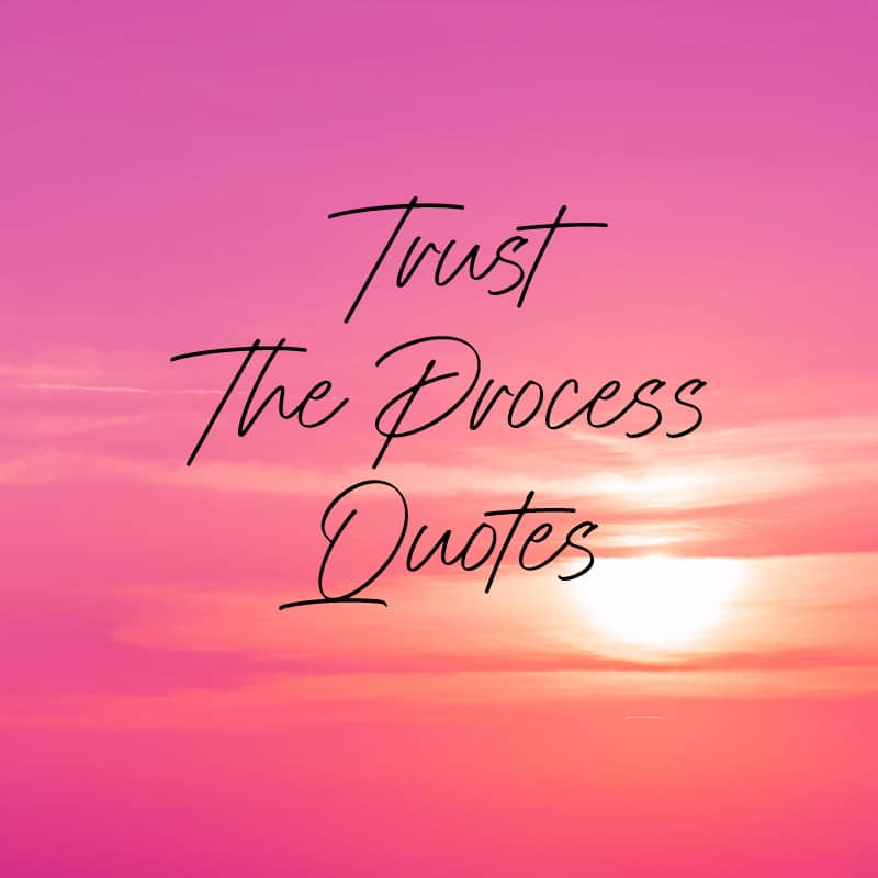 Trust The Process Quotes