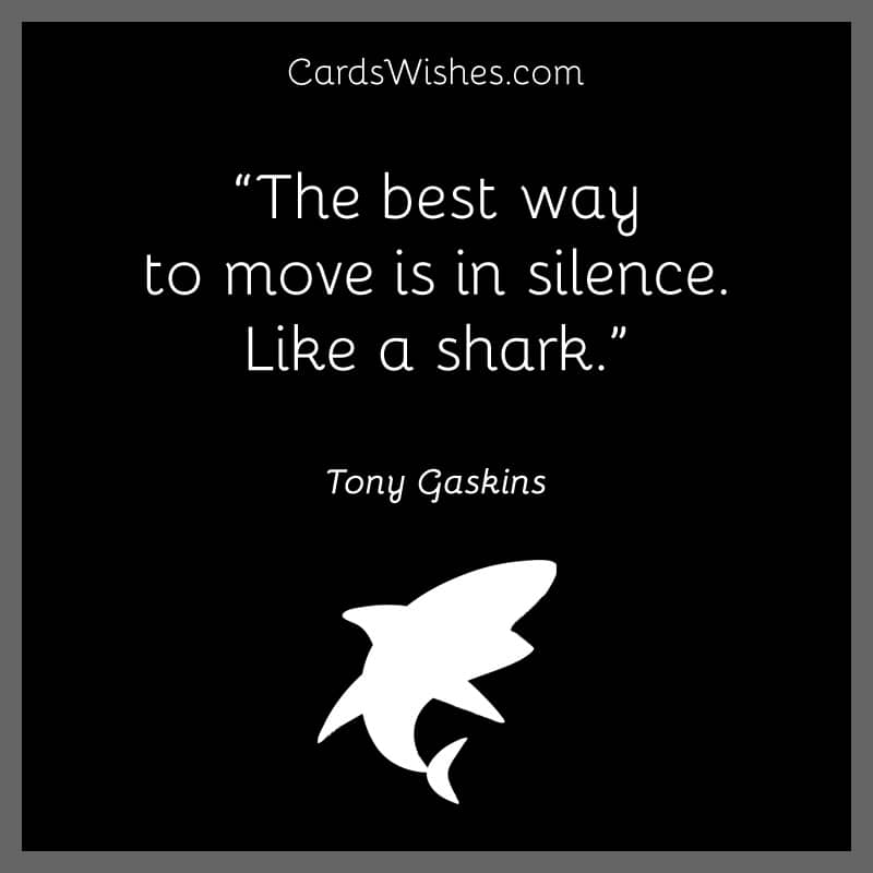 The best way to move is in silence. Like a shark.